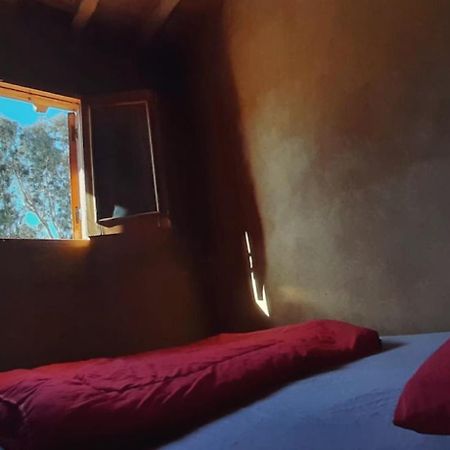 Tunis Camp Fayoum 외부 사진