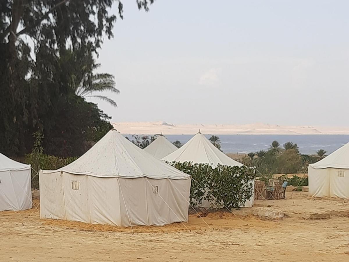 Tunis Camp Fayoum 객실 사진