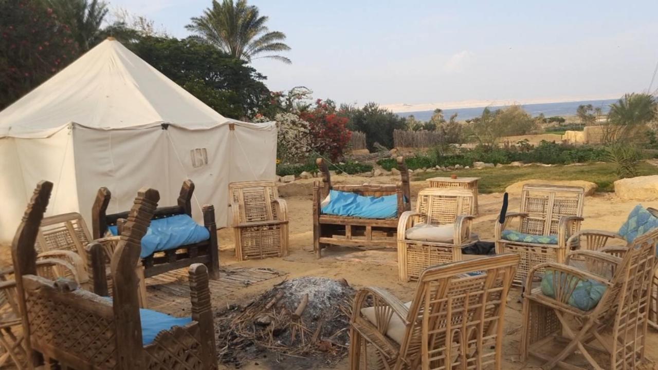 Tunis Camp Fayoum 외부 사진
