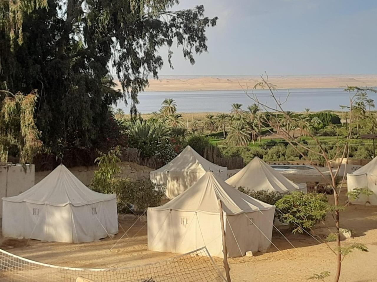 Tunis Camp Fayoum 외부 사진